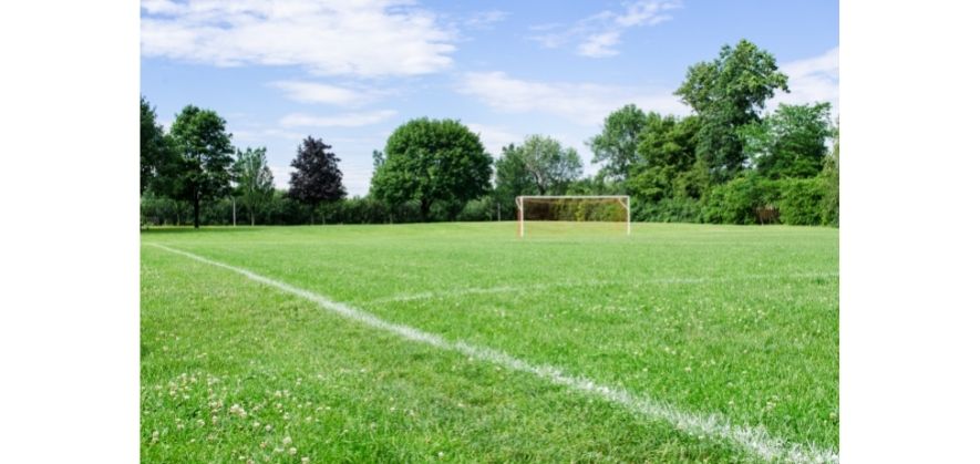 where can soccer be played - natural grass field