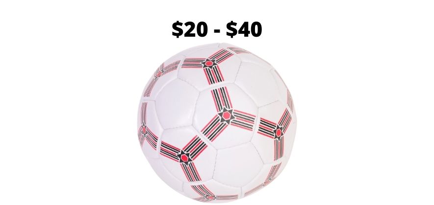soccer ball cost - economy level