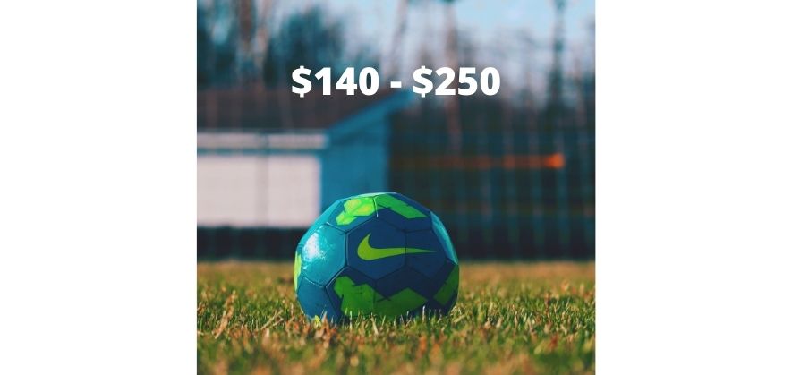 soccer ball cost - professional level